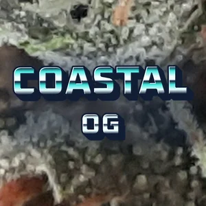 Coastal OG Cannabis Strain