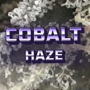 Cobalt Haze Cannabis Strain