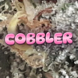 Cobbler Cannabis Strain