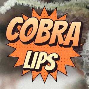 Cobra Lips Cannabis Strain