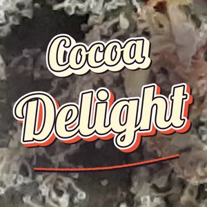 Cocoa Delight Cannabis Strain