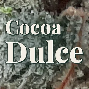 Cocoa Dulce Cannabis Strain