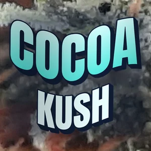 Cocoa Kush Cannabis Strain
