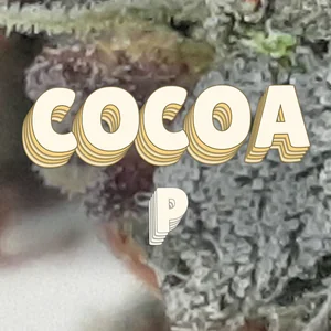 Cocoa P Cannabis Strain