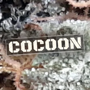 Cocoon Cannabis Strain