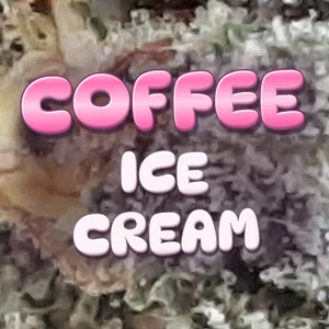 Coffee Ice Cream Cannabis Strain