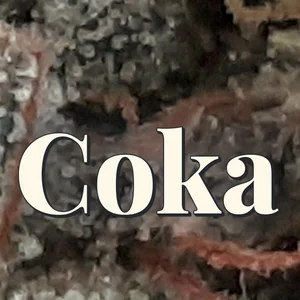 Coka Cannabis Strain