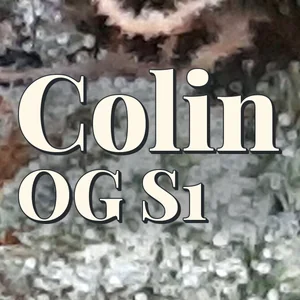 Colin OG S1 Cannabis Strain