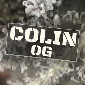 Colin OG Cannabis Strain