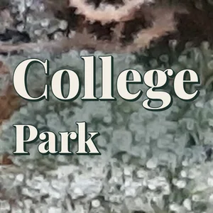 College Park Cannabis Strain
