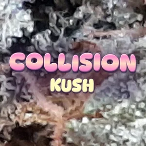 Collision Kush Cannabis Strain