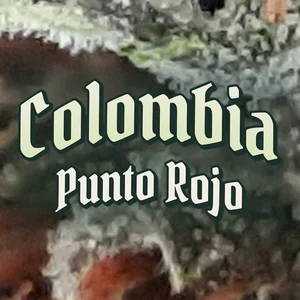Colombia Punto Rojo Cannabis Strain