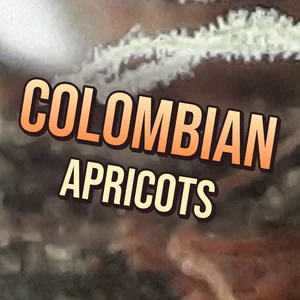 Colombian Apricots Cannabis Strain