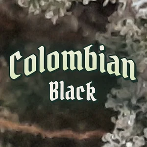 Colombian Black Cannabis Strain