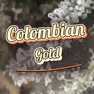 Colombian Gold Cannabis Strain