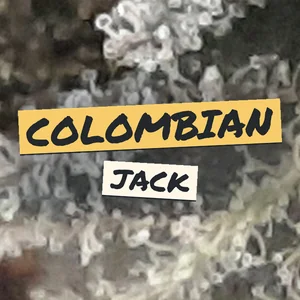 Colombian Jack Cannabis Strain
