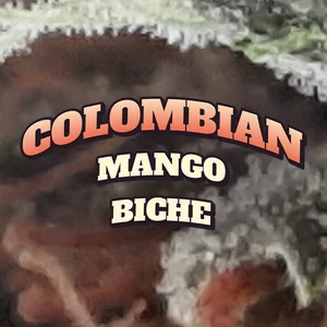 Colombian Mango Biche Cannabis Strain