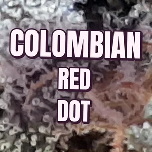 Colombian Red Dot Cannabis Strain