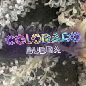 Colorado Bubba Cannabis Strain