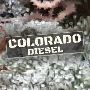 Colorado Diesel Cannabis Strain