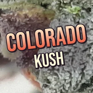 Colorado Kush Cannabis Strain