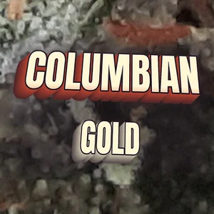 Columbian Gold Cannabis Strain