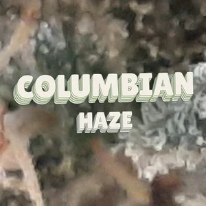 Columbian Haze Cannabis Strain