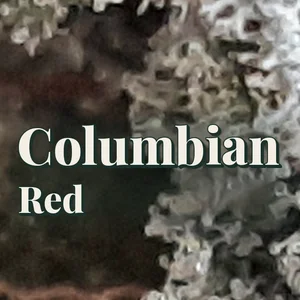 Columbian Red Cannabis Strain