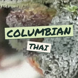 Columbian Thai Cannabis Strain