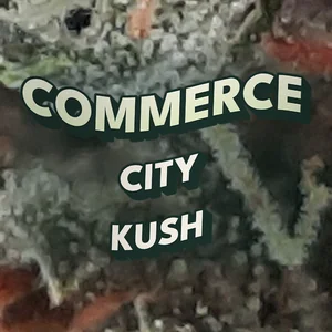 Commerce City Kush Cannabis Strain