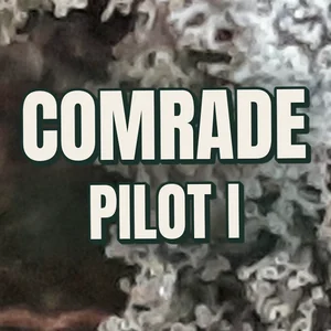 Comrade Pilot I Cannabis Strain