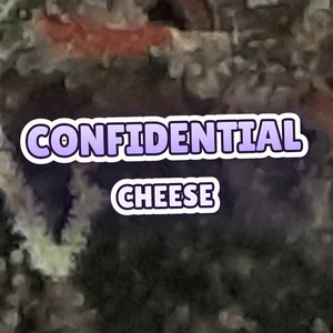 Confidential Cheese Cannabis Strain