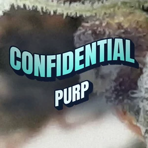 Confidential Purp Cannabis Strain