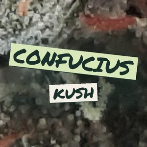 Confucius Kush Cannabis Strain