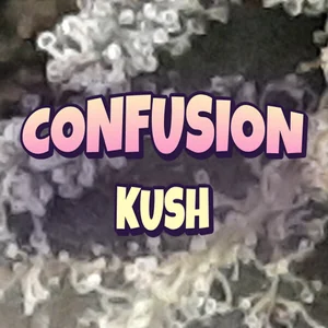 Confusion Kush Cannabis Strain