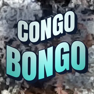 Congo Bongo Cannabis Strain