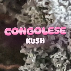 Congolese Kush Cannabis Strain