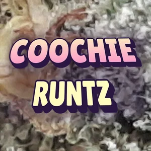 Coochie Runtz Cannabis Strain