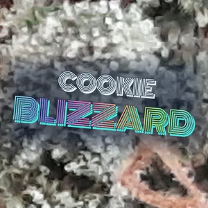 Cookie Blizzard Cannabis Strain