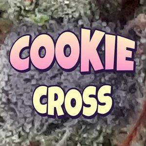 Cookie Cross Cannabis Strain