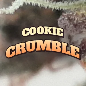 Cookie Crumble Cannabis Strain