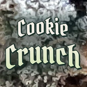 Cookie Crunch Cannabis Strain