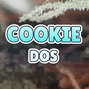Cookie Dos Cannabis Strain