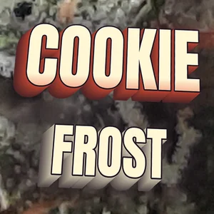 Cookie Frost Cannabis Strain