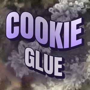 Cookie Glue Cannabis Strain