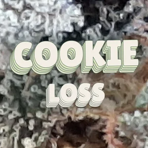Cookie Loss Cannabis Strain