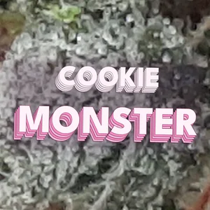 Cookie Monster Cannabis Strain