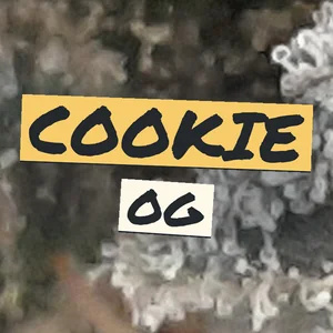 Cookie OG Cannabis Strain