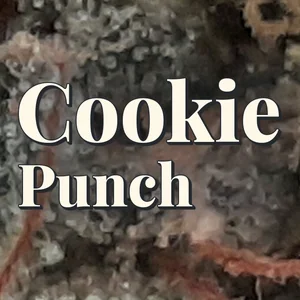 Cookie Punch Cannabis Strain
