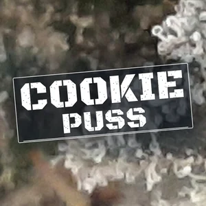 Cookie Puss Cannabis Strain